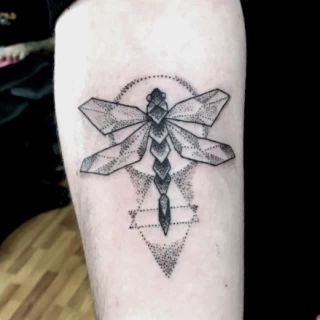 Dragon fly tattoo  Insect Tattoo - on arm Dublin - The Black Hat Tattoo