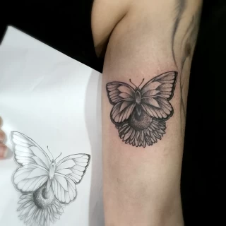 Butterfly  Insect Tattoo on arm girl -  Dublin - The Black Hat Tattoo