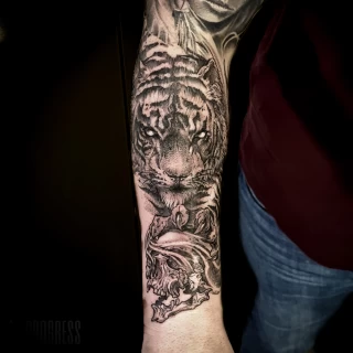 Tiger Tattoo - Dublin - shoulder - The Black Hat Tattoo