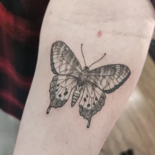 Palm Size Butterfly Tattoo  - Black Hat Tattoo Dublin - The Black Hat Tattoo