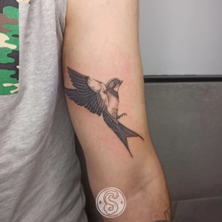 Golondrina.1 - The Black Hat Tattoo