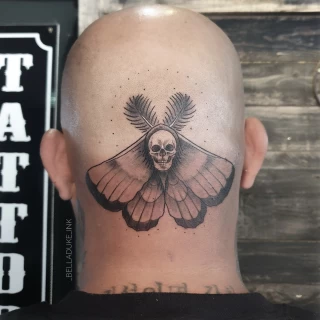 Moth on head  Insect Tattoo - Dublin - - The Black Hat Tattoo