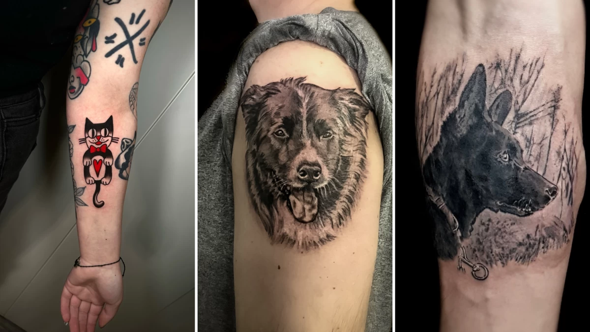 Pet Tattoo - Black Hat Tattoo Dublin 5