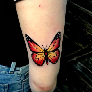 Color butterfly  Insect Tattoo -  Dublin - - The Black Hat Tattoo