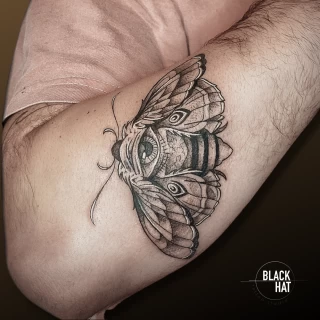 Moth on arm  Insect Tattoo - Dublin - - The Black Hat Tattoo