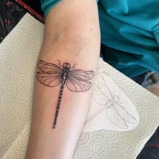 Dragonfly  Insect Tattoo on forearm-  Dublin - The Black Hat Tattoo