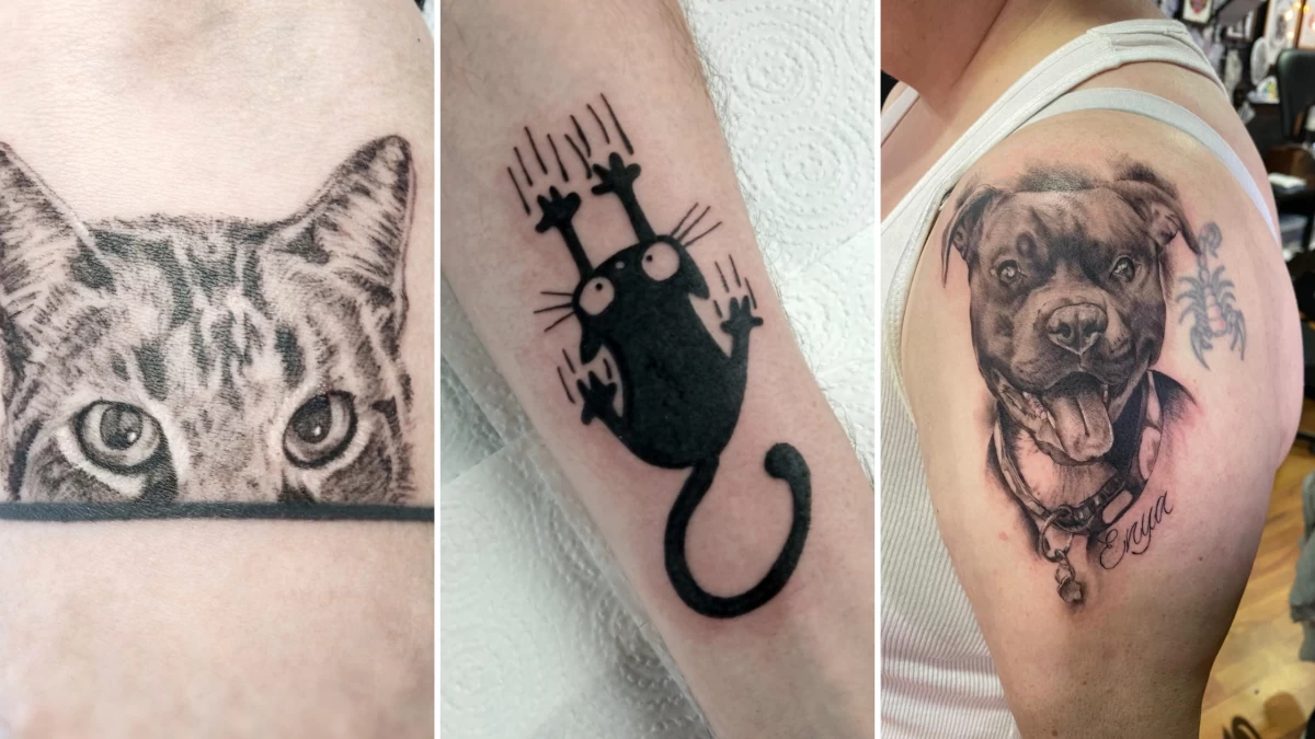 Pet Tattoo - Black Hat Tattoo Dublin 7