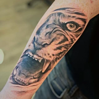 Tiger Tattoo - Dublin - Arm realism - The Black Hat Tattoo