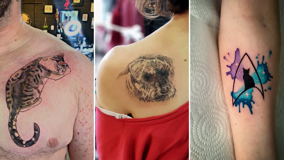 Pet Tattoo - Black Hat Tattoo Dublin 4