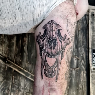 Tiger Tattoo - Dublin - Skull - Inner Arm - Black and Grey - The Black Hat Tattoo