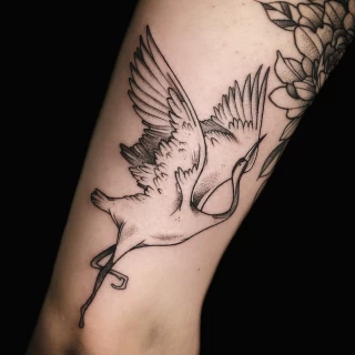 Crane - Bird Tattoo - Black Hat Tattoo Dublin - The Black Hat Tattoo