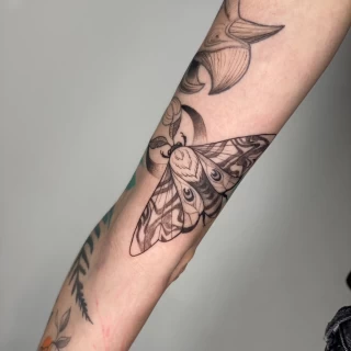 Moth and floral  on arm Insect Tattoo - Dublin - The Black Hat Tattoo